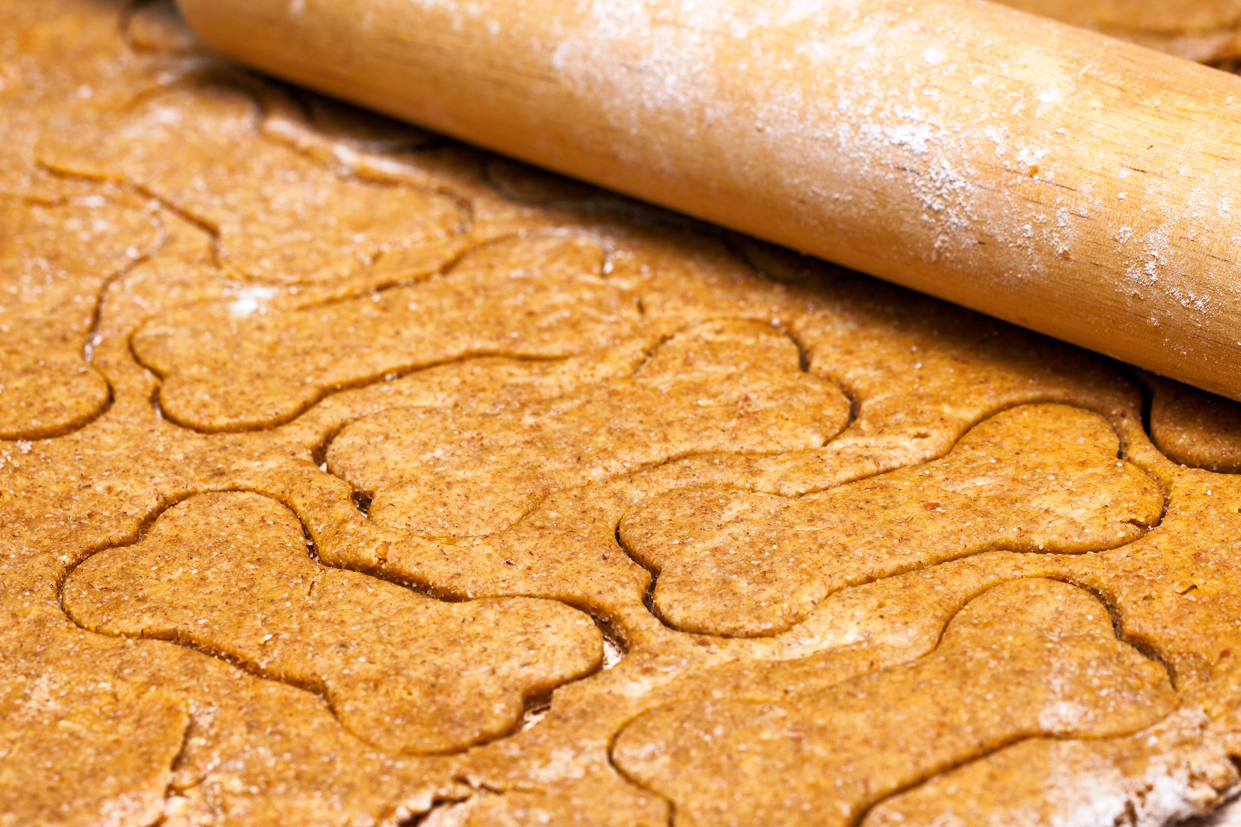 Dog Treats